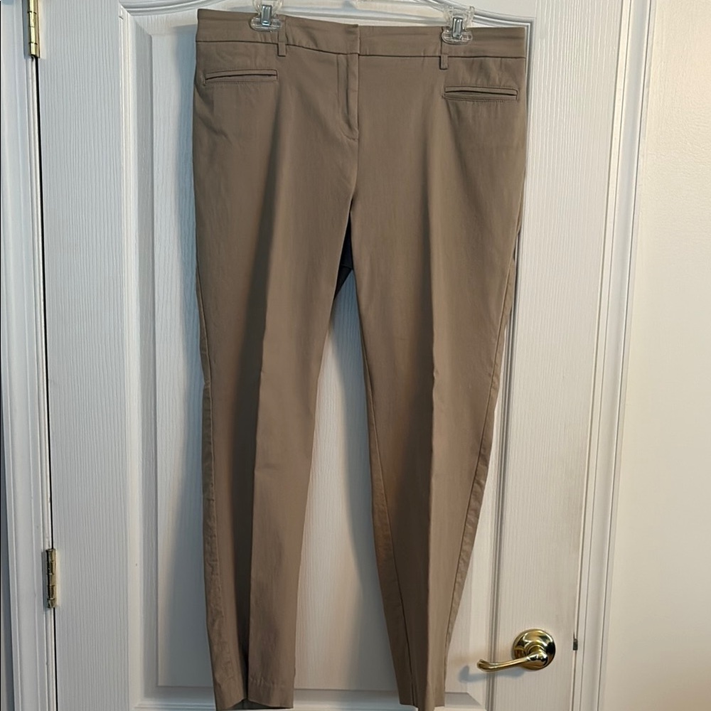 Style & Co Classic Tan Trousers 12